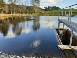 Kocába 1A-nádrž Splavěcí v Ouběnicích 21.4.23 (7).jpg